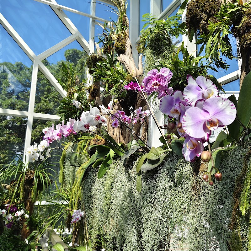 Orchidarium Garden Gangtok Sikkim - Orchidarium Garden Gangtok Sikkim Ridge park, Arithang, Gangtok, Sikkim 737103, India