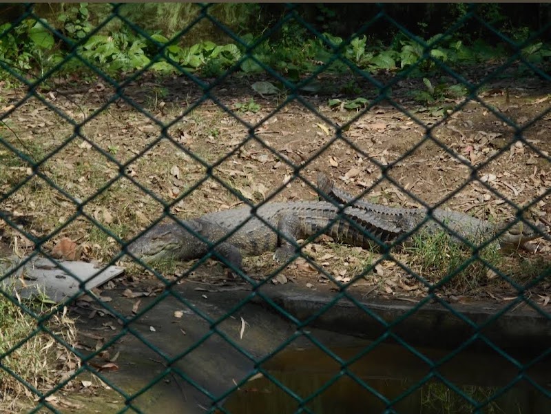 Kota Zoological Park - Kota Zoological Park Abhera Palace, Nanta Road, Chatra Vilas Garden, Nayapura, Kota, Rajasthan 323021, India