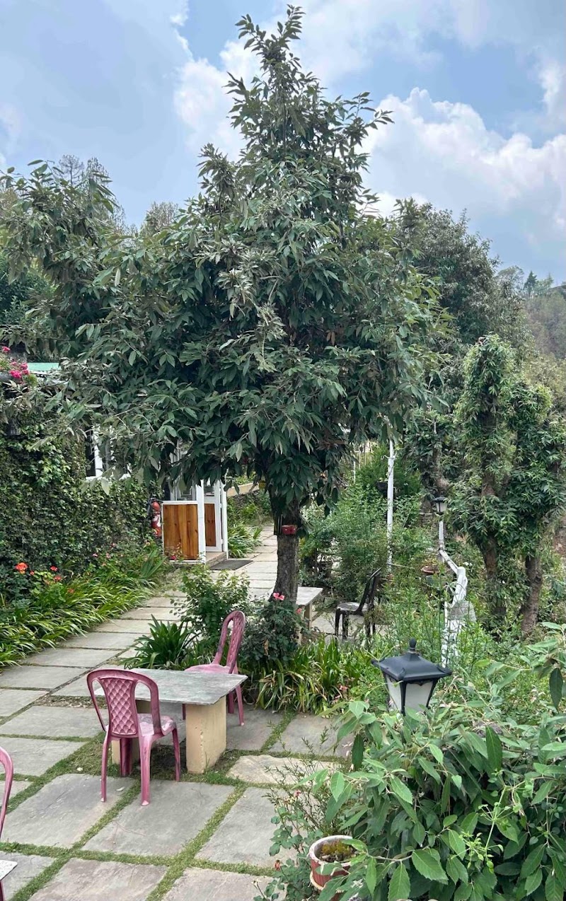 Frozen Woods Resorts - Frozen Woods Resorts, FJW9+JV, Mukteshwar, Uttarakhand 263158, India