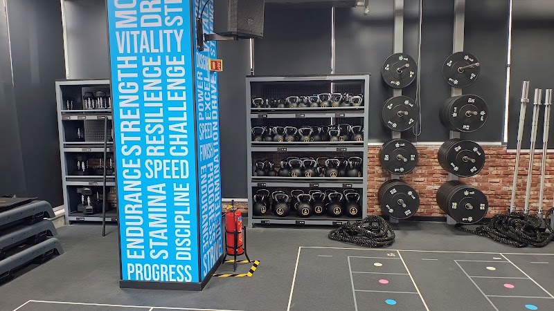 Cult Gym Kharadi | Best Gym in Kharadi, Pune - Cult Gym Kharadi | Best Gym in Kharadi, Pune, 1st floor, Grant Rd, EON Free Zone, Kharadi, Pune, Maharashtra 411014, India