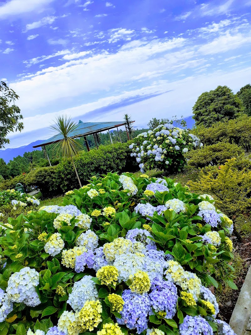 Delo Park - Delo Park, 3GQ3+M83, Deolo, Homes St.And Graihms, Kalimpong, West Bengal 734316, India