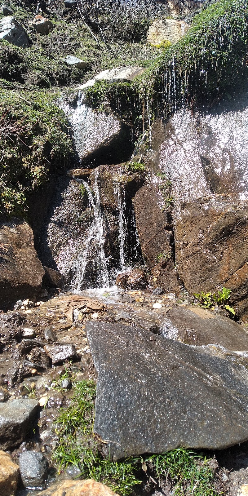 Pangi - Pangi, Himachal Pradesh 176323, India