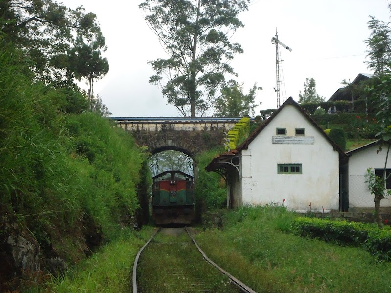 St. Clair Estate - Tea Factory - St. Clair Estate - Tea Factory, A7, Talawakelle, Sri Lanka
