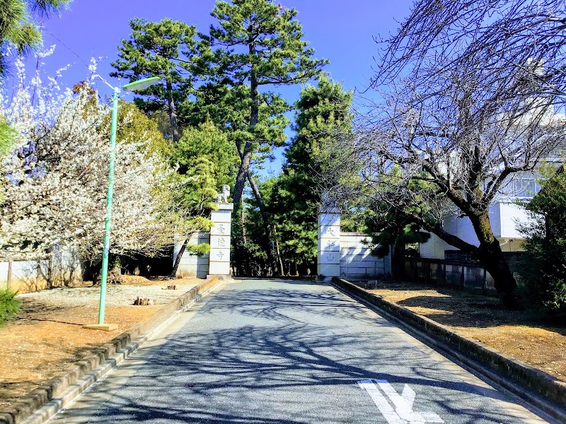 Gotokuji Temple Pine Approach - Gotokuji Temple Pine Approach 2 Chome-24 Gotokuji, Setagaya City, Tokyo 154-0021, Japan