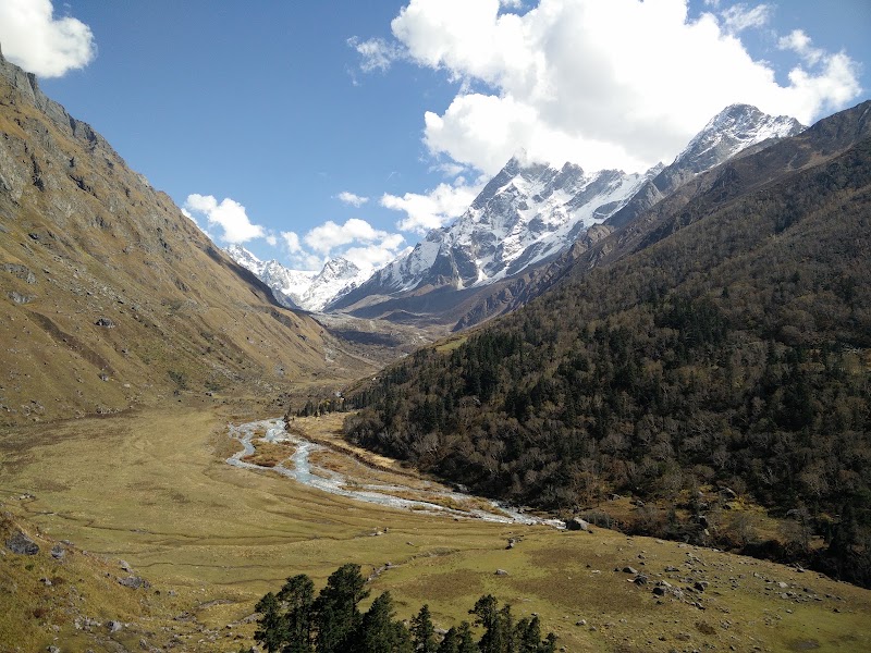 Swargarohini - Swargarohini, Sankari Range, Uttarakhand 249128, India