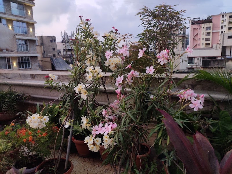 Khar West - Khar West, Khar, Khar West, Mumbai, Maharashtra, India