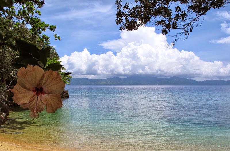 Dumagat Freedive - Dumagat Freedive, La Independencia St, Dauin, 6217 Negros Oriental, Philippines