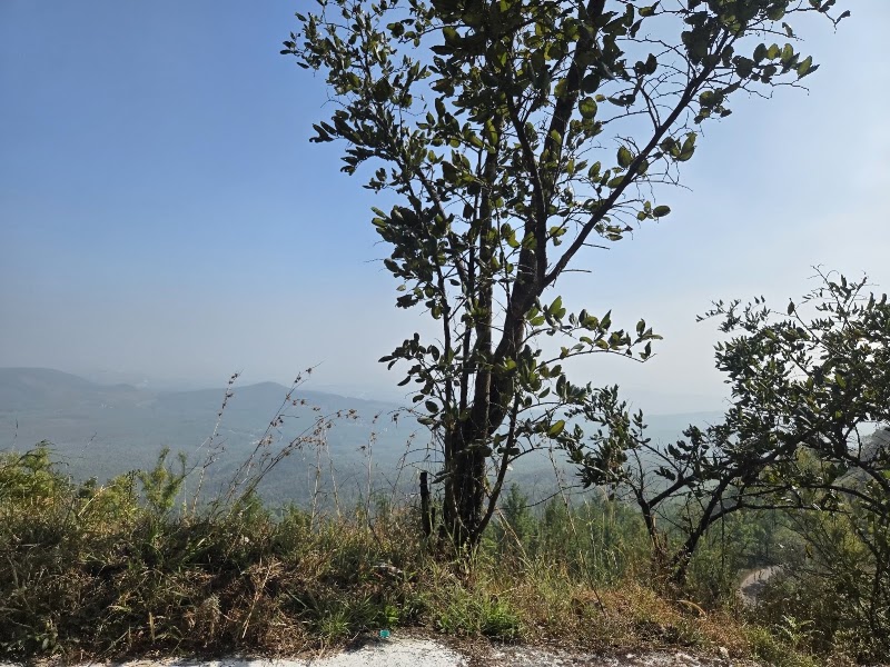 Mullayanagiri Peak - Mullayanagiri Peak 1, Mullayanagiri - Manikhyadhara - Bababudangiri, Inam Dattathreya Peeta, Aralaguppe, Karnataka 577131, India