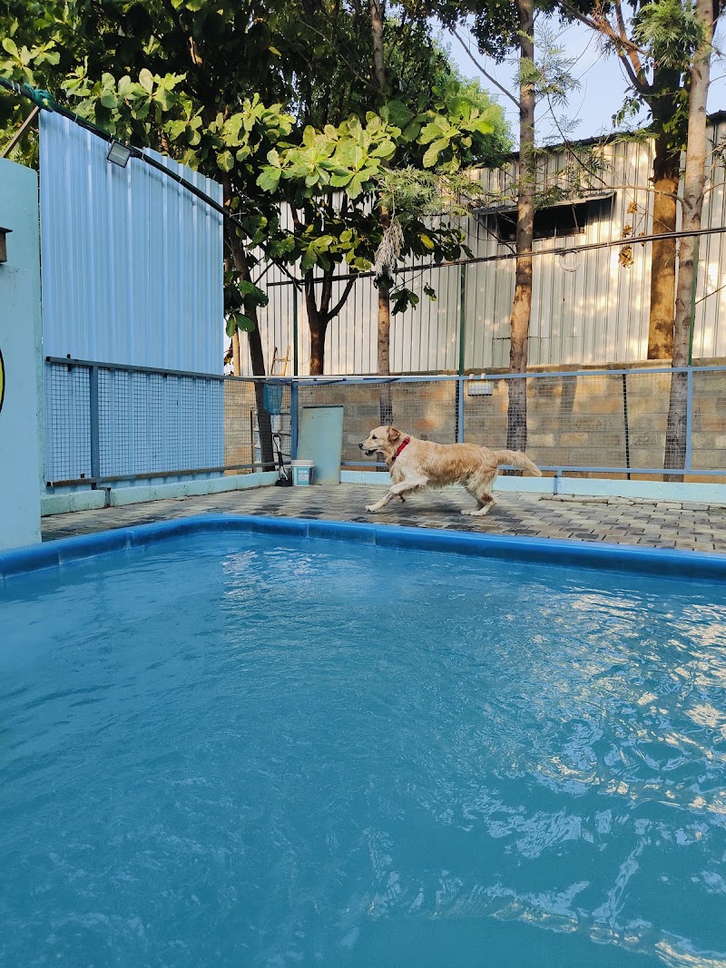 Snoopy Paws Cafe - Snoopy Paws Cafe Survey no. 4/2 and 4/4, Yarappanahalli main road, Hennur Main Rd, Kannuru, Karnataka 560077, India