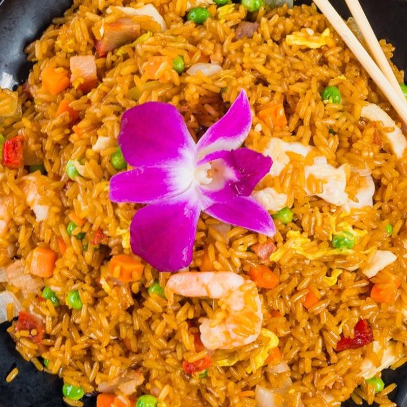 Tokyo Restaurant - Tokyo Restaurant 7911 W Hillsborough Ave, Tampa, FL 33615, USA