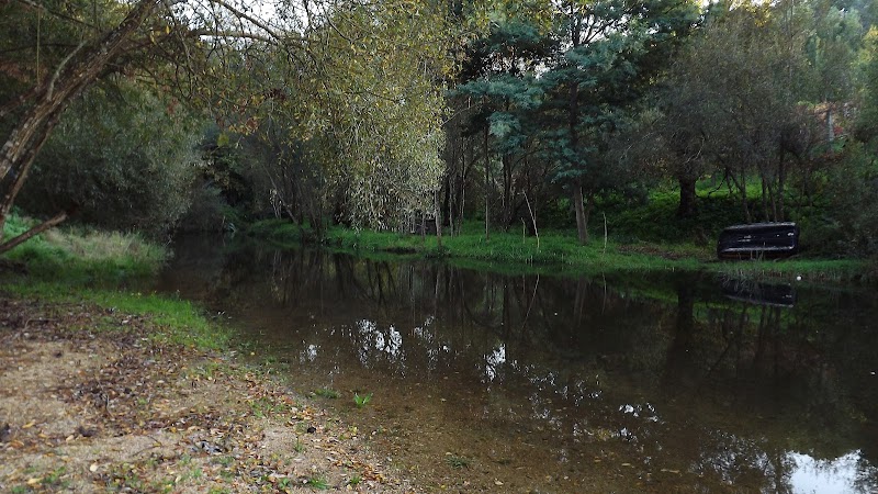 Parque do Gramão - Parque do Gramão Unnamed Road, 4550 Santa Maria de Sardoura, Portugal