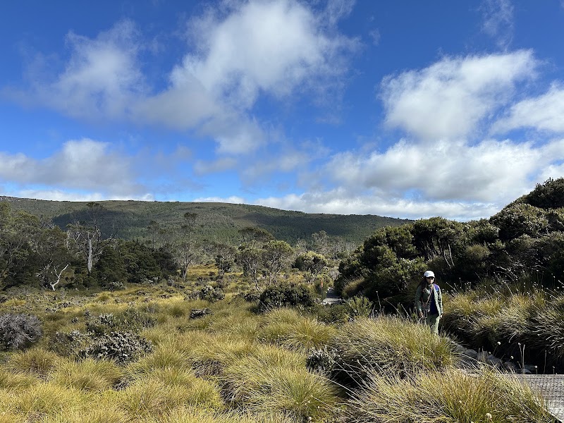 Ronny Creek Carpark - Ronny Creek Carpark, Dove Lake Rd, Cradle Mountain TAS 7306, Australia