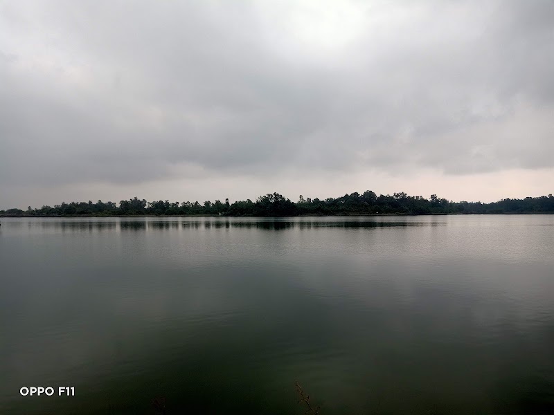 Nandanvan Jungle Safari, Nava Raipur - Nandanvan Jungle Safari, Nava Raipur Sector 39, Khanduwa, Sector 39, Atal Nagar-Nava Raipur, Uparwara, Chhattisgarh 493661, India