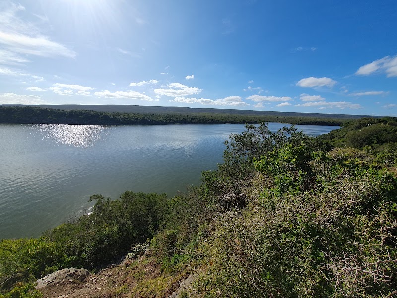 De Hoop Nature Reserve - De Hoop Nature Reserve, Potberg, 6740, South Africa