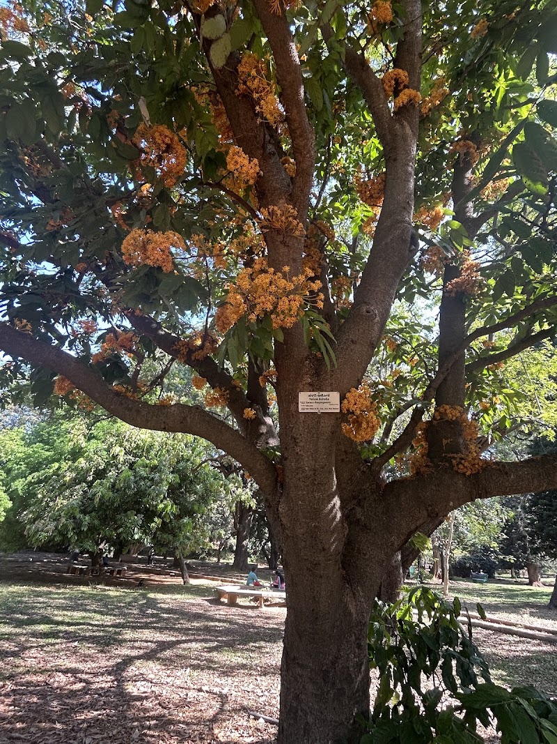 KoraWalks - KoraWalks Heble Park, Koramangala 3 Block, Koramangala, Bengaluru, Karnataka 560034, India