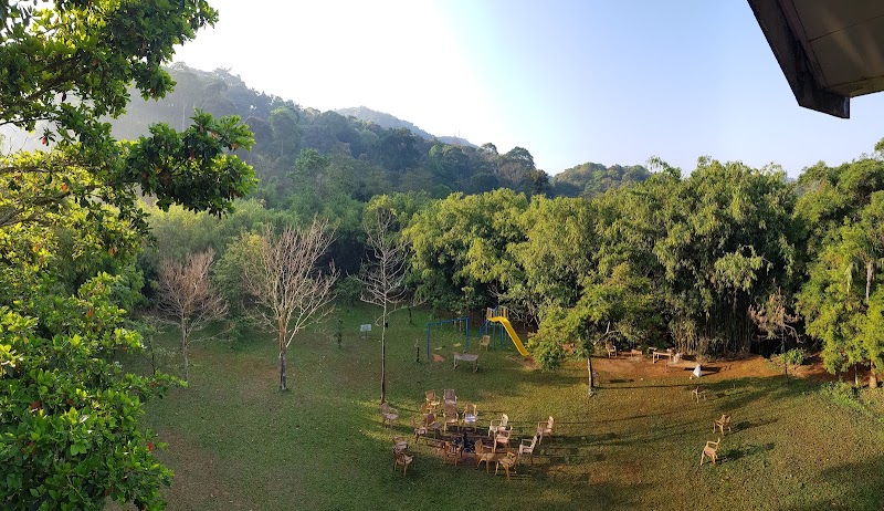 Vythiri Greens - Vythiri Greens, Lakkidi P O, Aramala road, Lakkidi, Lakkidi, Kunnathidavaka, Keralam 673576, India