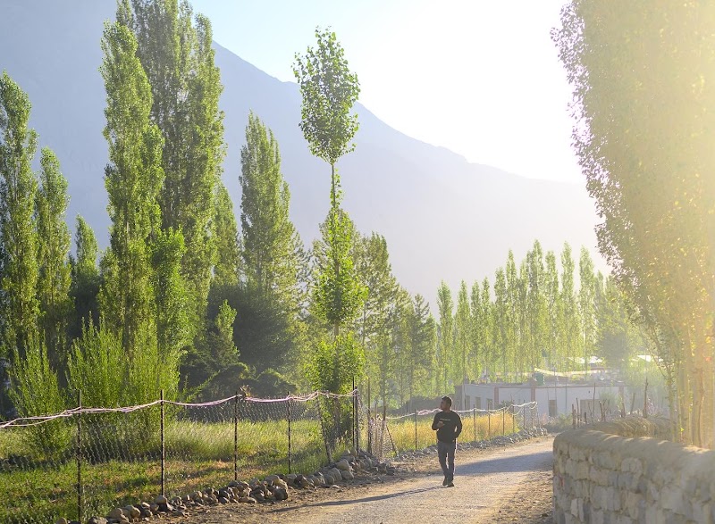 Nubra Hunder - Nubra Hunder, HFGX+4H6, Hunder, 194401