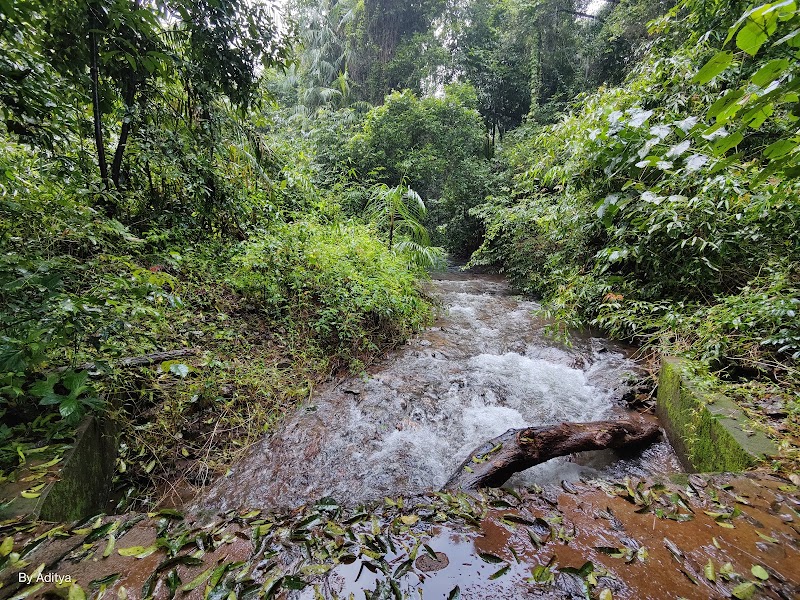 Mainapi Waterfall Netravali - Mainapi Waterfall Netravali 3794+VGF, Neturlim, Goa 403704, India