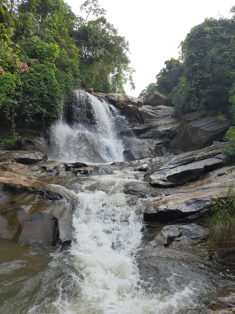 Ajodhya Hill and Forest Reserve Area - Ajodhya Hill and Forest Reserve Area, 642G+4M9, Ajodhya, West Bengal 723132, India