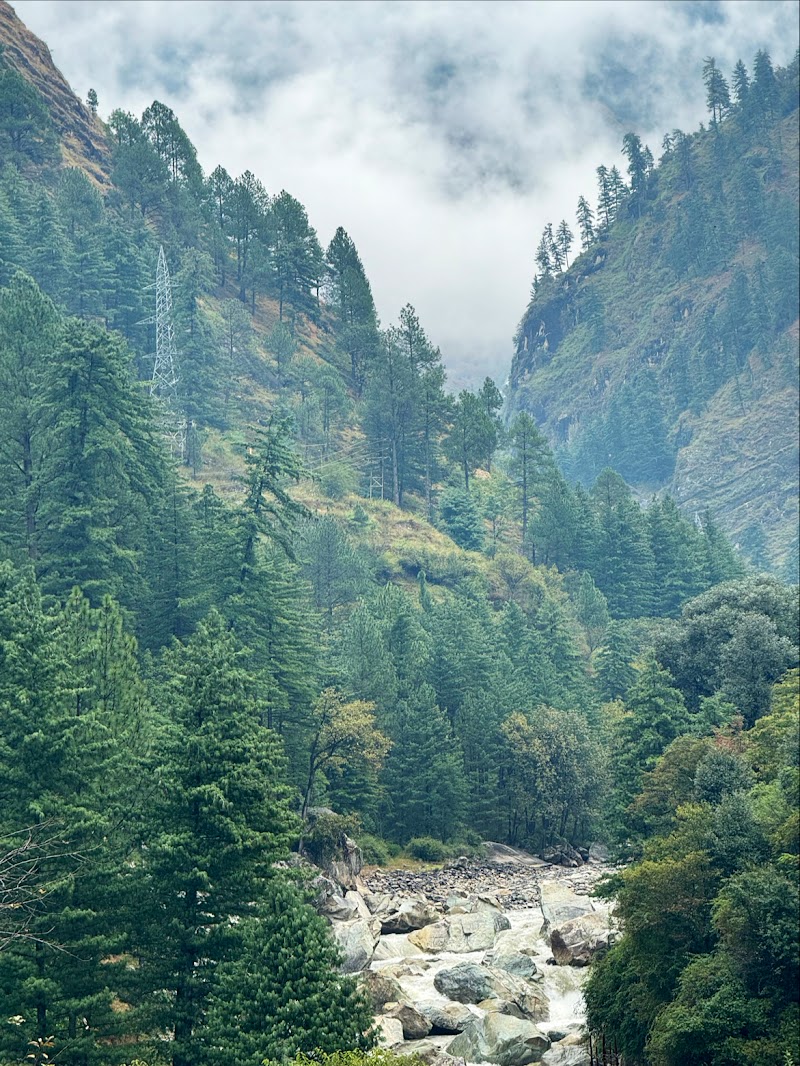 Moonlight cafe chojh - Moonlight cafe chojh, Kasol choj, near parvati river bridge, Kasol, Sosan, Himachal Pradesh 175105, India