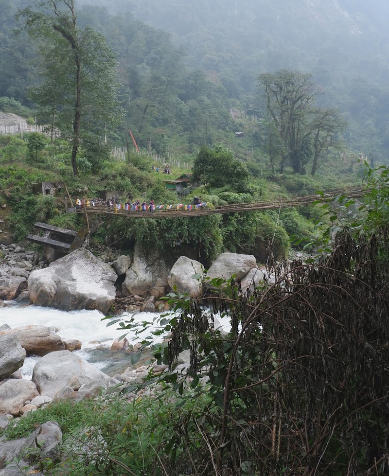 Tag Along Trips - Tag Along Trips Tag Along Backpackers, Development Area, beside Punjab & Sindh Bank, Gangtok, Sikkim 737101, India