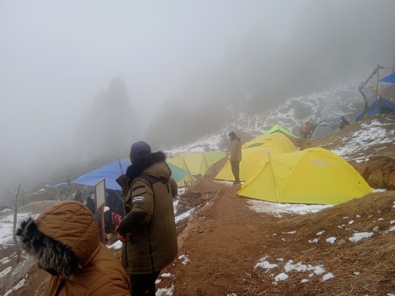 Track to Khalia Top - Track to Khalia Top Track to Khalia Top, Uttarakhand 262554, India