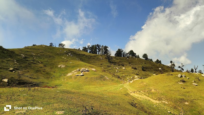 Kalatop Adventure Activities - Kalatop Adventure Activities Kalatop, Himachal Pradesh 176304, India