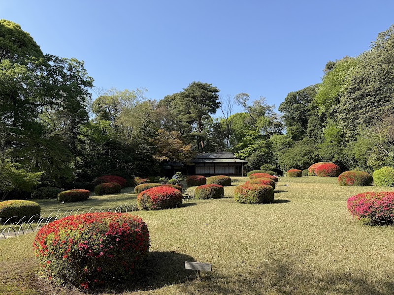 Meiji Jingu Gyoen - Meiji Jingu Gyoen 1-1 Yoyogikamizonochō, Shibuya, Tokyo 151-8557, Japan