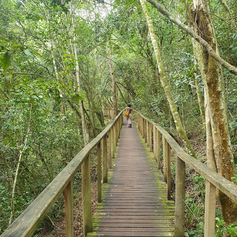 Garden Route National Park - Wilderness Section - Garden Route National Park - Wilderness Section, Wilderness, South Africa