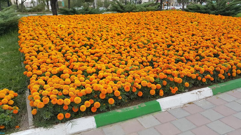 Police square - Police square, Ardabil, استان اردبیل، اردبیل، بزرگراه میلاد،، 679W+J3M, Iran