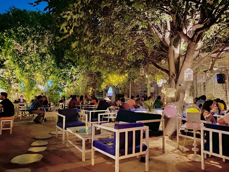 Cafe Soul Garden - Cafe Soul Garden Ug 11-12, Ascott Ireo City Central, Alahawas, Sector 59, Gurugram, Haryana 122098, India