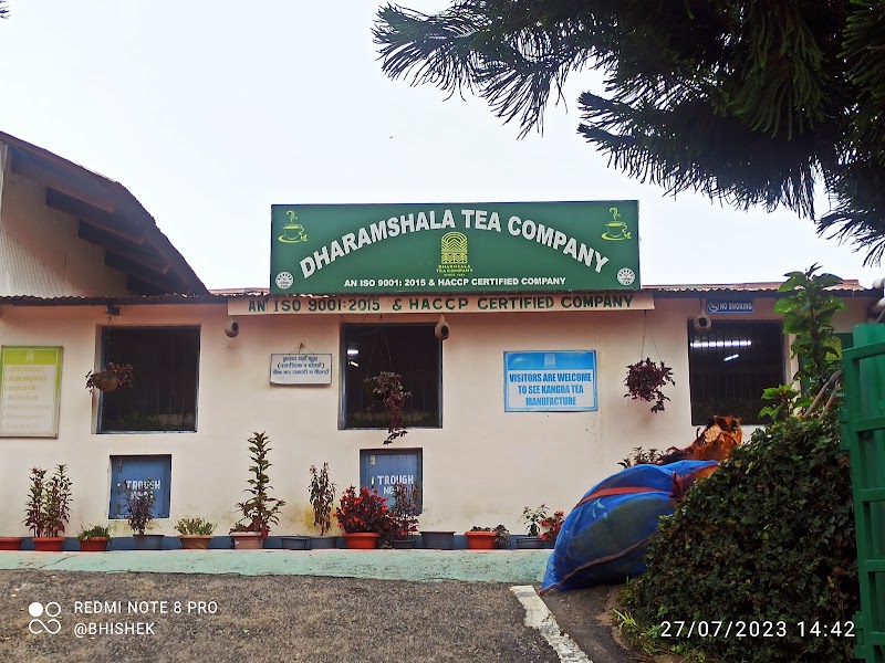 Maan Tea Factory - Maan Tea Factory, 6855+CMX, MDR44, Dharamshala, Himachal Pradesh 176217, India