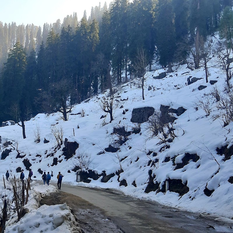 Seetalvan Orchard - Seetalvan Orchard, Kotgarh Narkanda, Shimla, Himachal Pradesh 172031, India