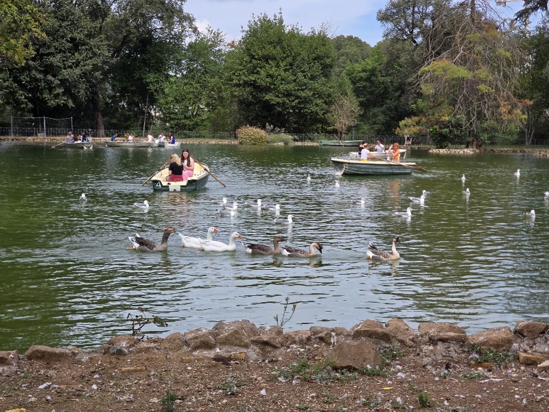Fonte Gaia - Fonte Gaia, Giardino del Lago, 00197 Roma RM, Italy