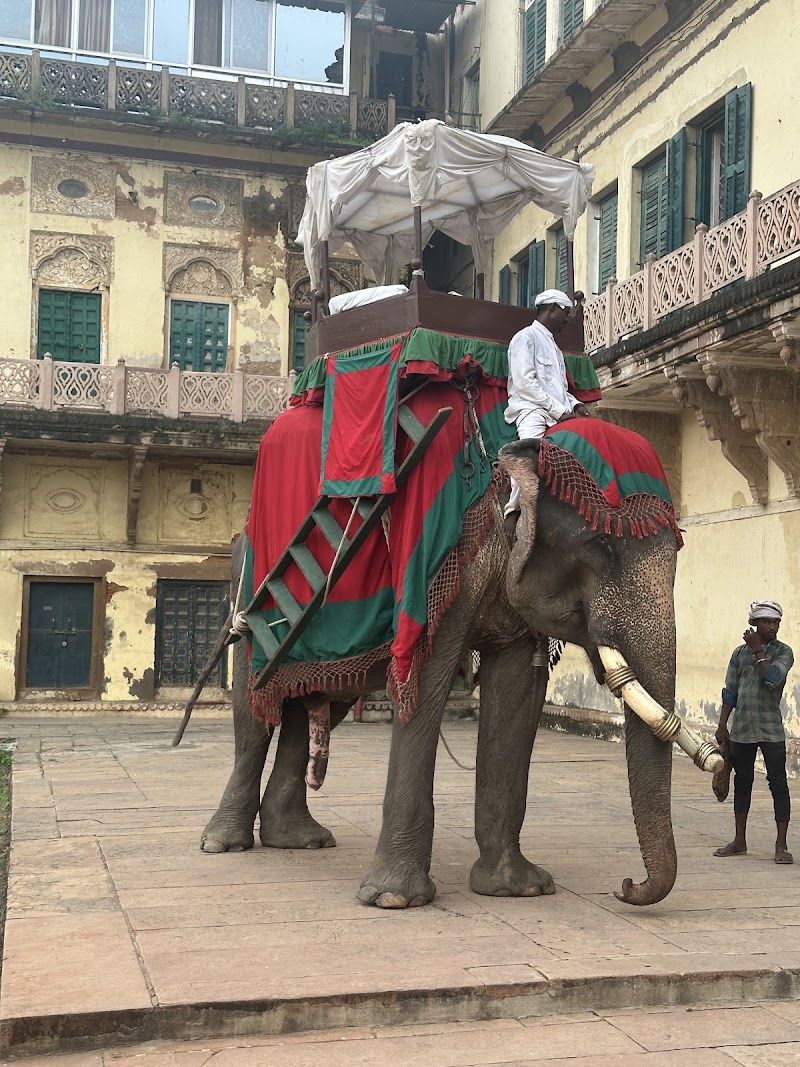 TRAVEDA TOUR PRIVATE LIMITED - TRAVEDA TOUR PRIVATE LIMITED Near, Birla Dharamshala Rd, Bodh Gaya, Bihar 824231, India