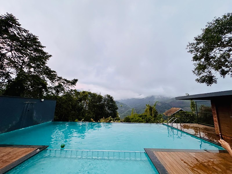 Wayanad Tripadvisor LLP - Wayanad Tripadvisor LLP, Door no 684 Thanhilode, po, Meppadi, Vellarimala, Keralam 673577, India