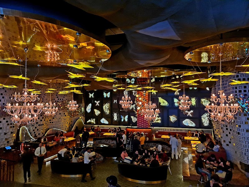 Dragonfly Experience Delhi - Dragonfly Experience Delhi Aerocity Access Rd, Aerocity, New Delhi, Delhi 110037, India