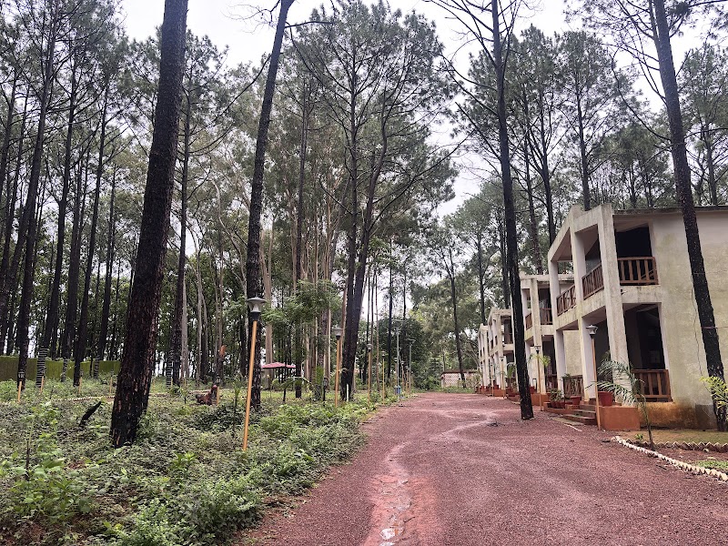Forest guest house - Forest guest house, F7GG+JCX, Netarhat, Jharkhand 835218, India