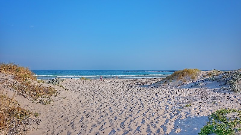 Betty's Bay Main Beach🪶 - Betty's Bay Main Beach🪶, 3780 Nerine Cres, Betty's Bay, 7141, South Africa