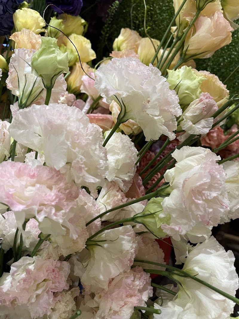 Mira Florist - Mira Florist, 46B P. Quán Sứ, Hoàn Kiếm, Hà Nội, Vietnam