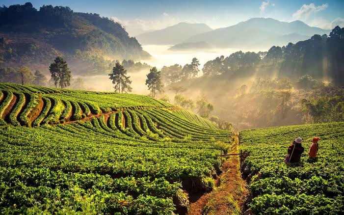 Northern Thailand - Northern Thailand, Thailand