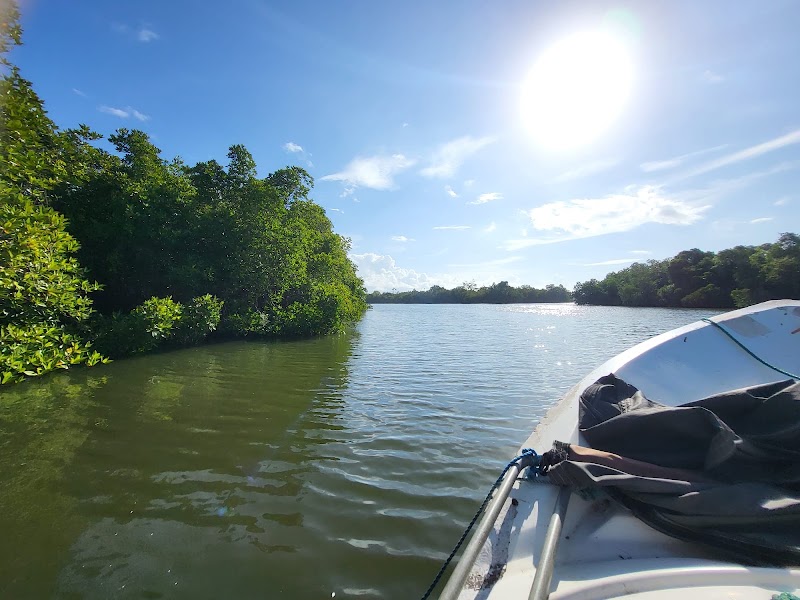 Madu Ganga Boat Safari