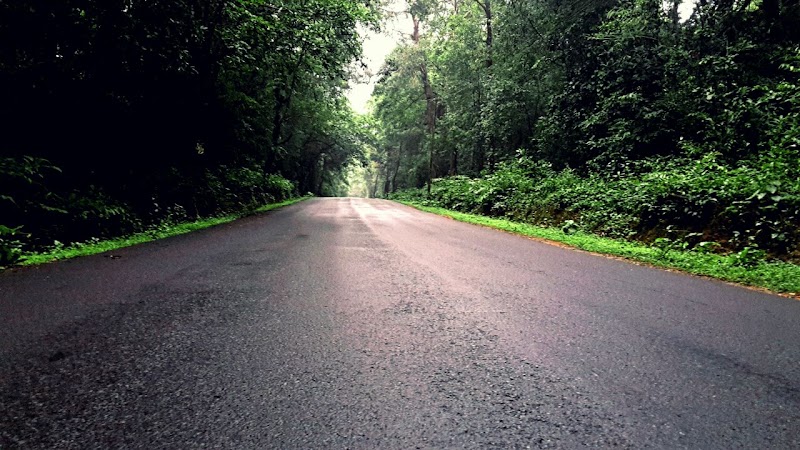 Udupi - Agumbe Highway - Udupi - Agumbe Highway, Udupi - Agumbe Hwy, Karnataka, India