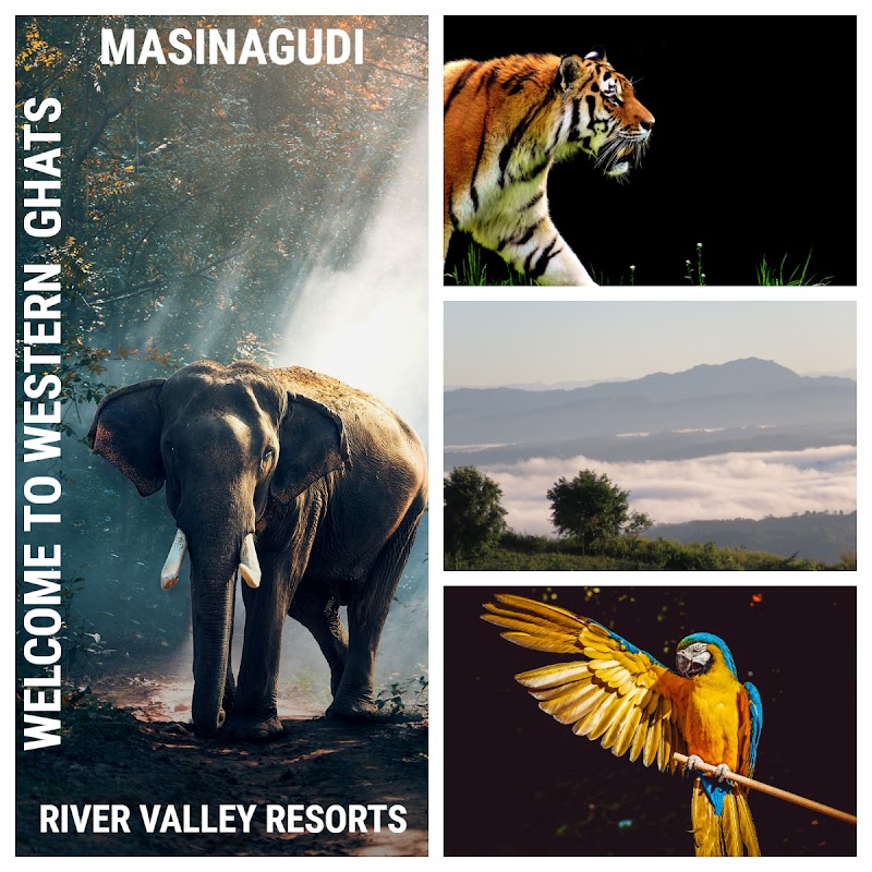 River Valley Resort - River Valley Resort Singara Rd, Masinagudi, Tamil Nadu 643223, India