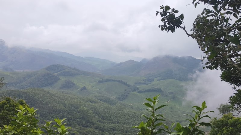 Kerala Holidays Pvt. Ltd. केरल टूर पैकेज - Kerala Holidays Pvt. Ltd. केरल टूर पैकेज, NH Bypass, above Bread World, Thykoodam, Vyttila, Kochi, Kerala 682019, India