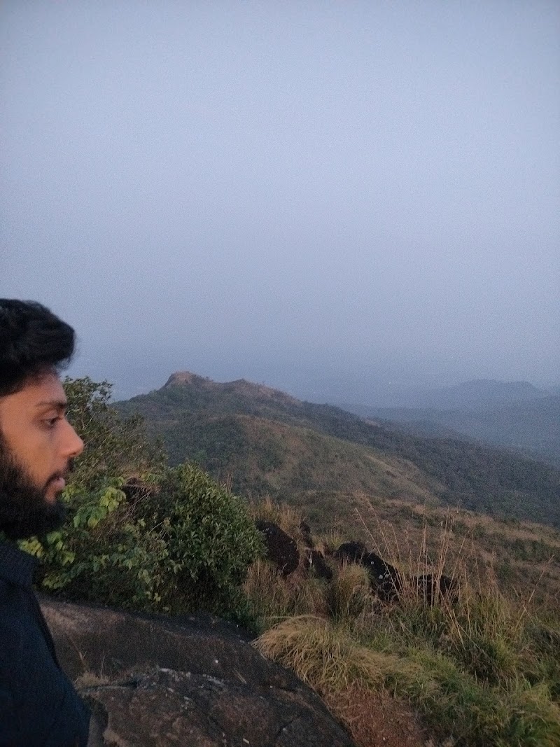Chirapullu Peak - Chirapullu Peak PW53+MG6, Kerala 670731, India