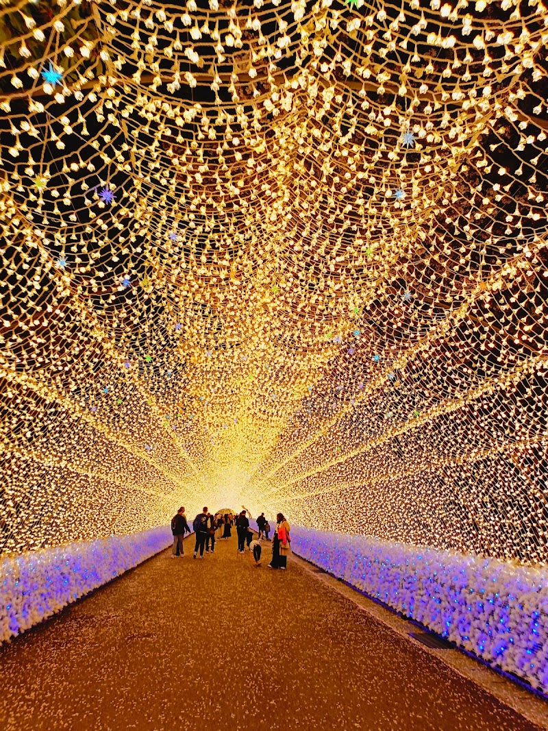 Corridor of Light / Tunnel of Light