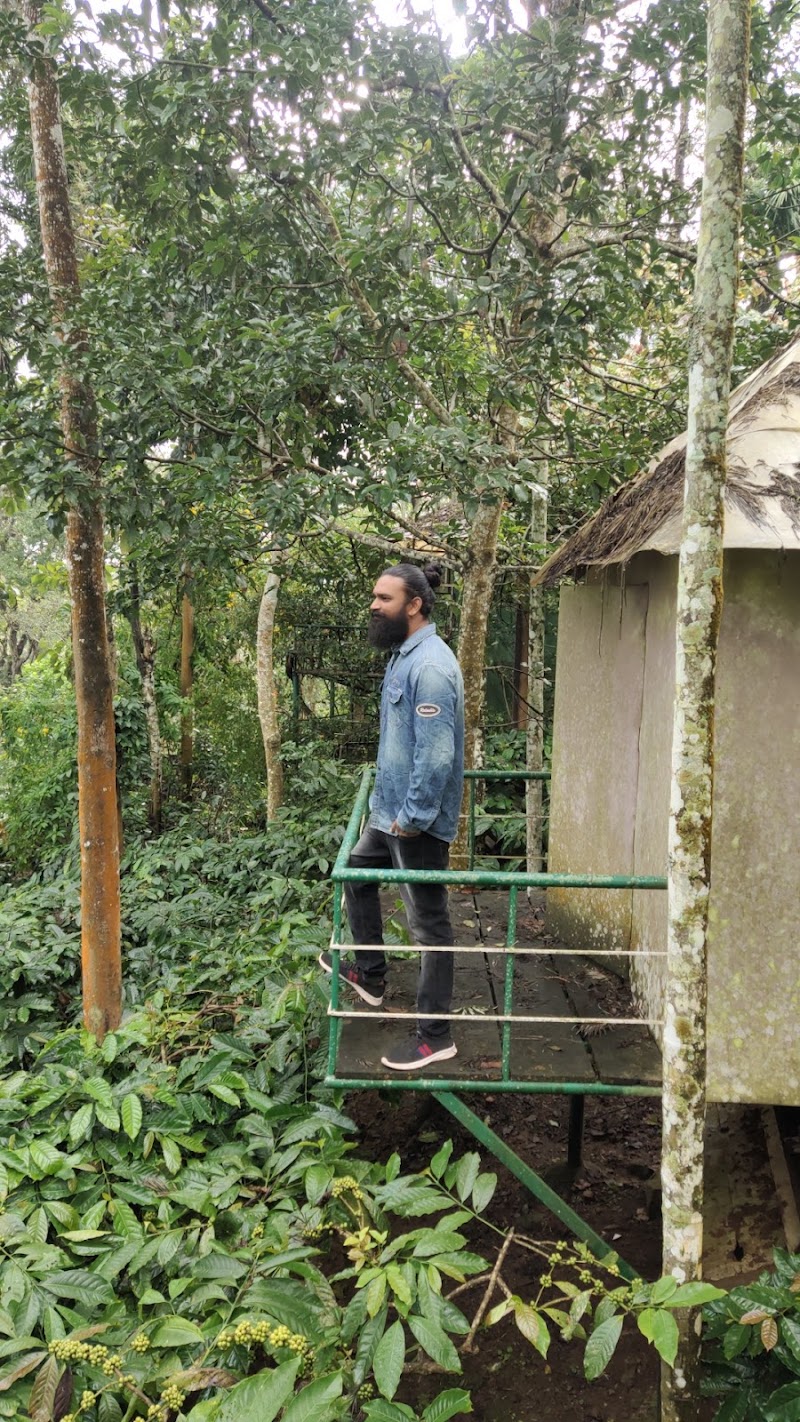 Bopanna's Homestay - Coorg - Bopanna's Homestay - Coorg 7RVJ+V49, Hachinad, Karnataka 571211, India