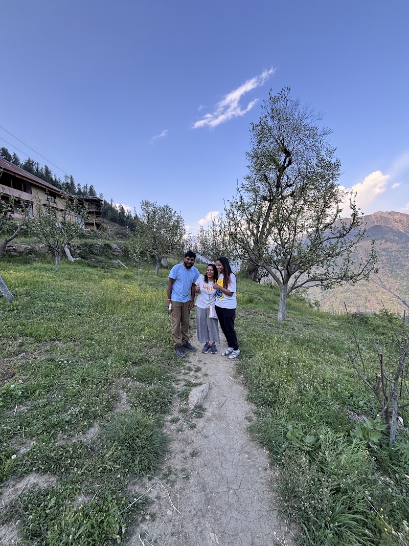 The Void Tirthan - Workation from Mountains, Home stay, Coliving, Co-working & Cafe - The Void Tirthan - Workation from Mountains, Home stay, Coliving, Co-working & Cafe Tirthan valley, Kulthi, Gushaini, Tindar, Himachal Pradesh 175123, India