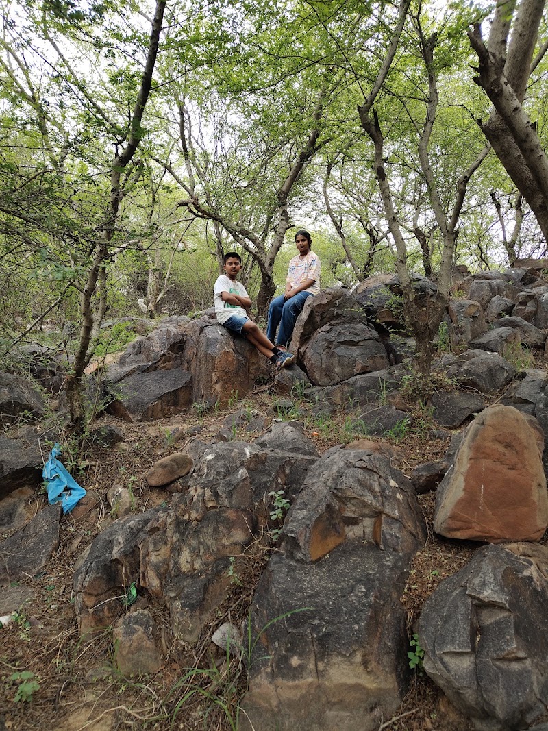 Bhondsi Nature Park - Bhondsi Nature Park 926V+XPP, Bharat Yatra Kendra Rd, Haryana 122101, India